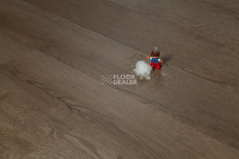 Tarkett Funky House TOM фото 4 | FLOORDEALER